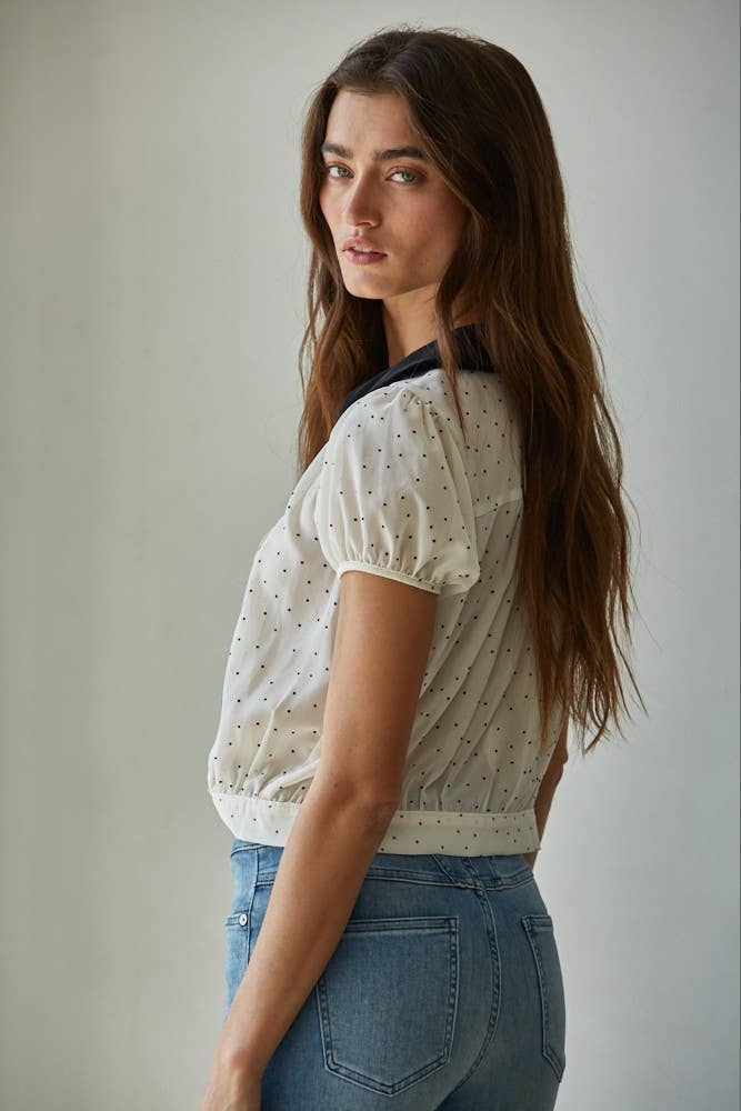 Chiffon Flocked Velvet Collar Dot Blouse