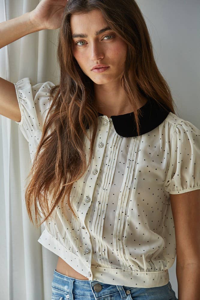 Chiffon Flocked Velvet Collar Dot Blouse