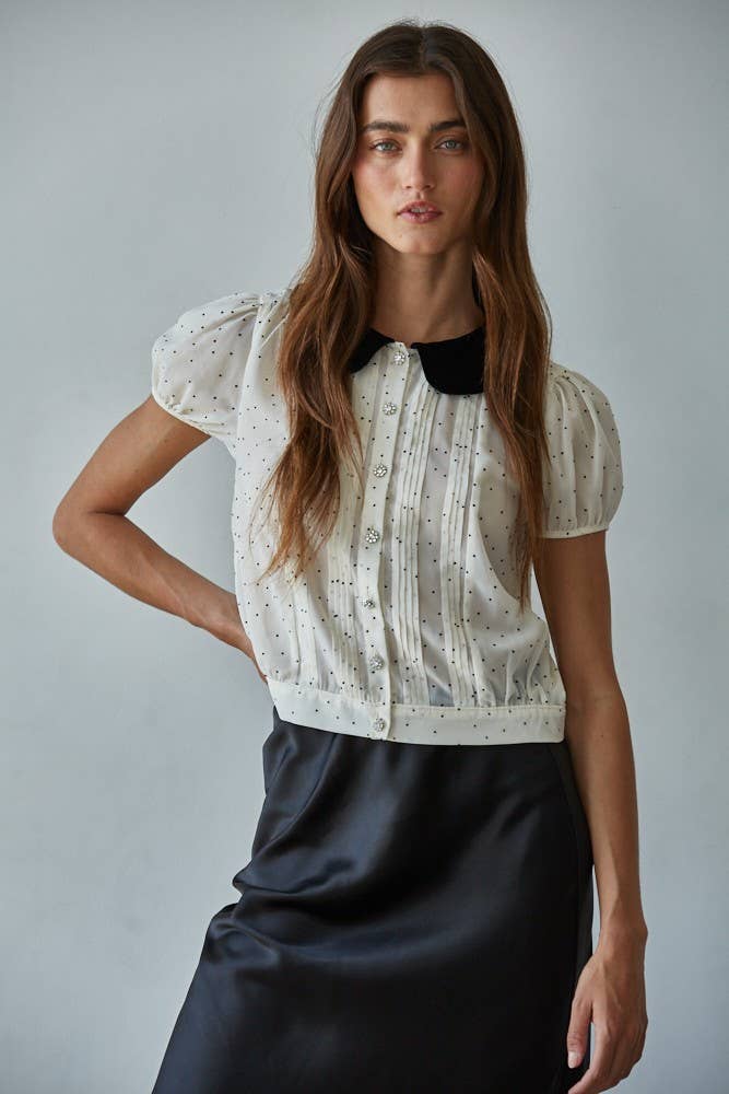 Chiffon Flocked Velvet Collar Dot Blouse