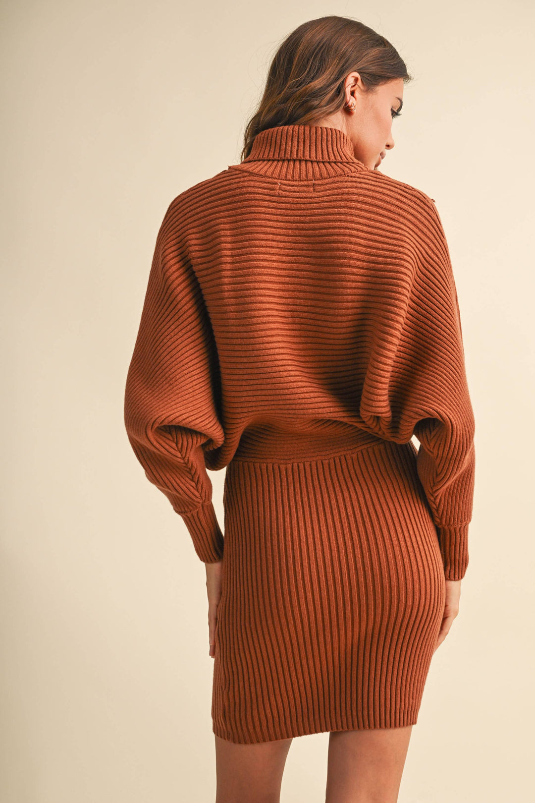 A woman shown from the back wearing a rust-orange ribbed knit mock-neck sweater dress against a plain beige studio background.