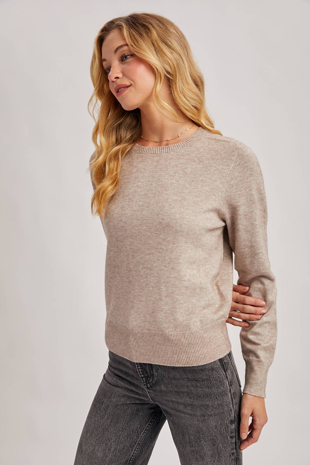 Wholegarment Crew Neck Sweater