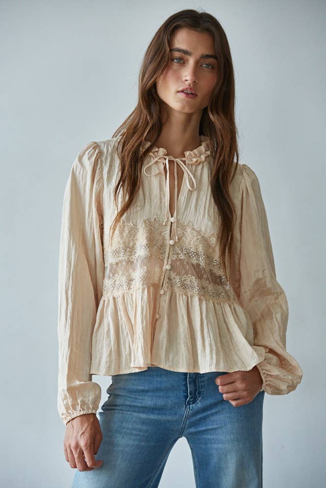 Romantic Sheer Lace Detail Blouse