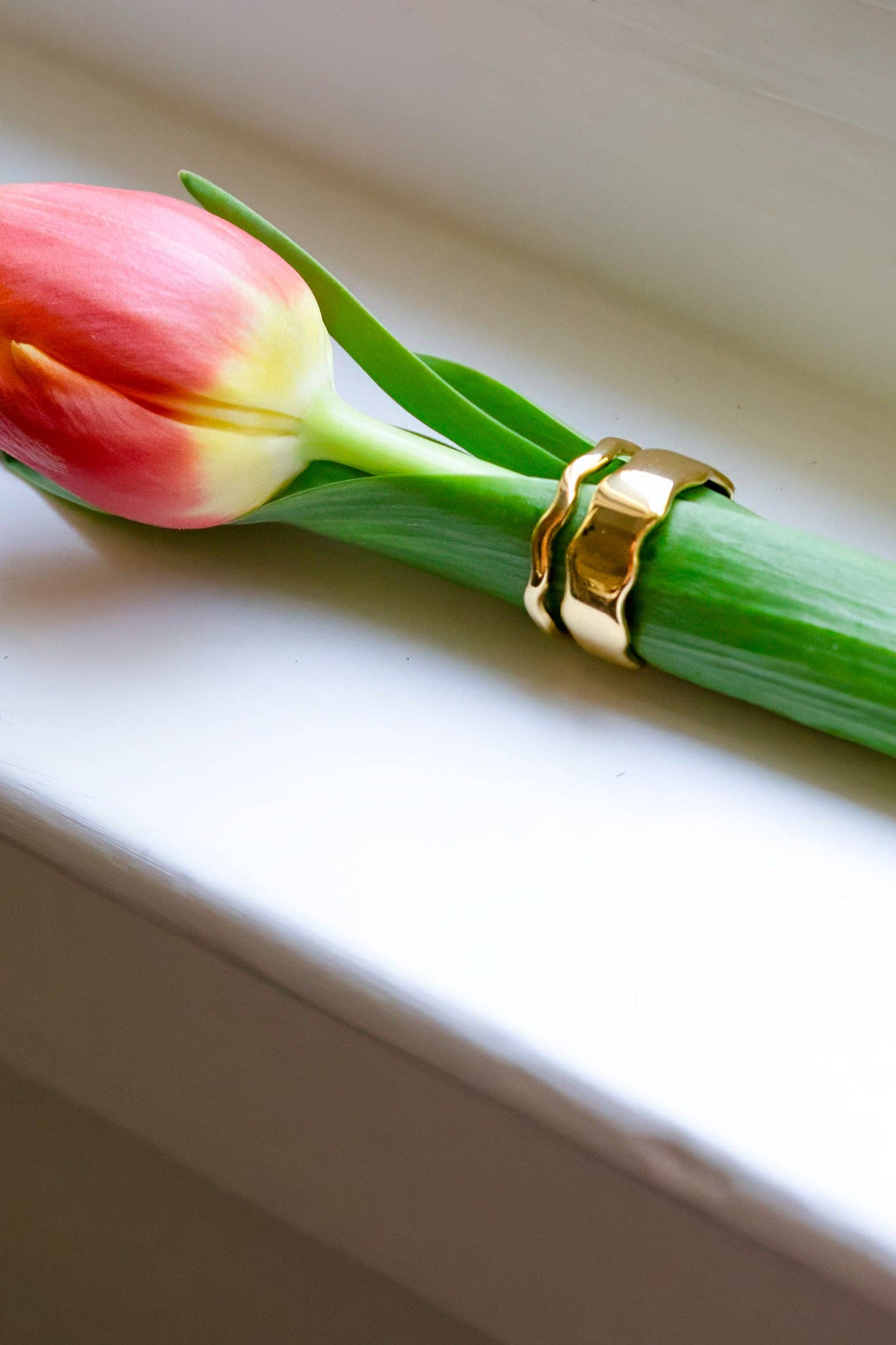 Gold double adjustable stacking ring on a pink tulip with a white background